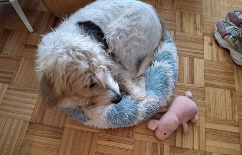 Febrero-2025-Frio-y-luces-07