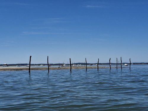 Mayo-2025-Ilusion-por-el-sol-y-la-luz-06