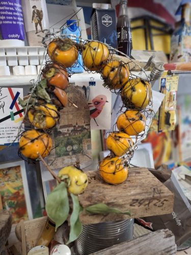 Octobre-2025-Exposiciones-y-contrastes-con-sus-reflejos-06