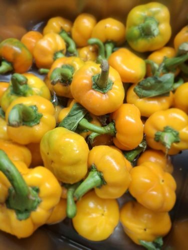 Octobre-2025-Exposiciones-y-contrastes-con-sus-reflejos-16