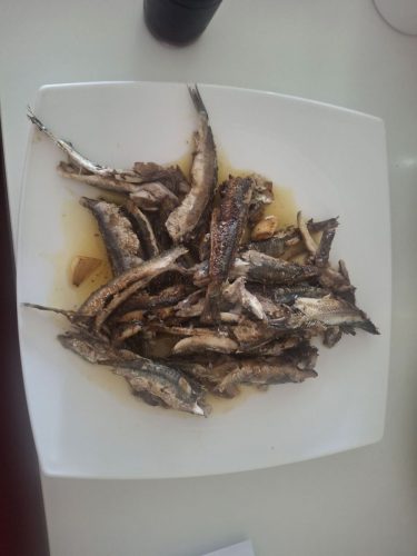 Septiembre-2025-aprovechando-los-rayos-del-sol-con-su-luz-07