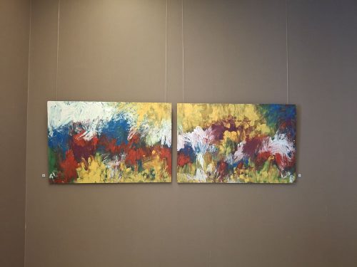 Exposicion-en-Hospital-de-Navarra-02